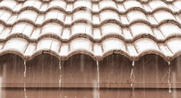 Property Maintenance Services - Roofing Services