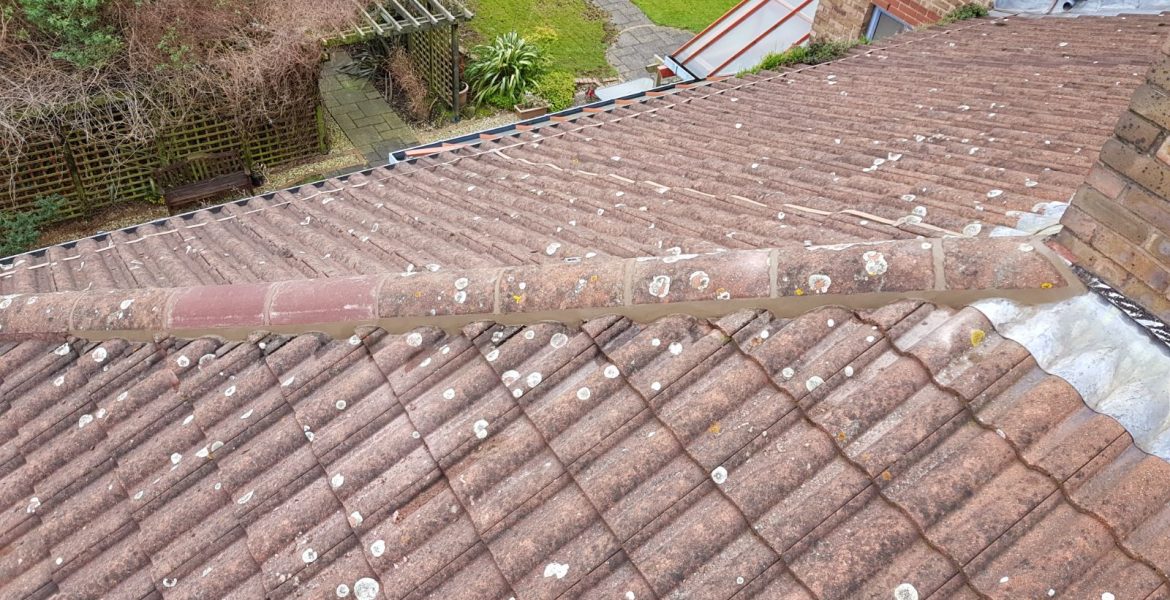 Repaired Roof Hip