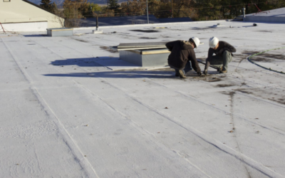 The Importance of Maintaining your Roof